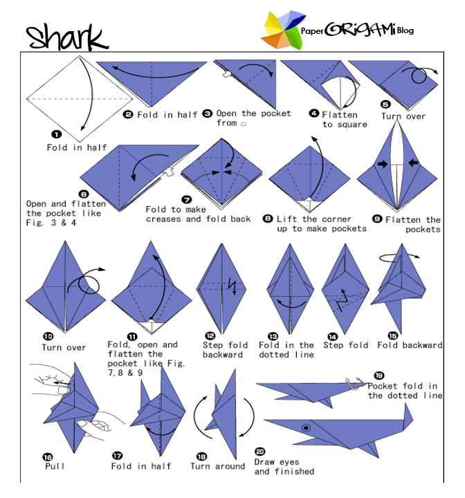 Shark Origami Model