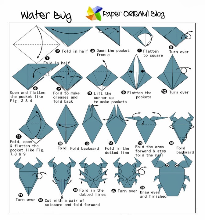 Waterbug Origami Model